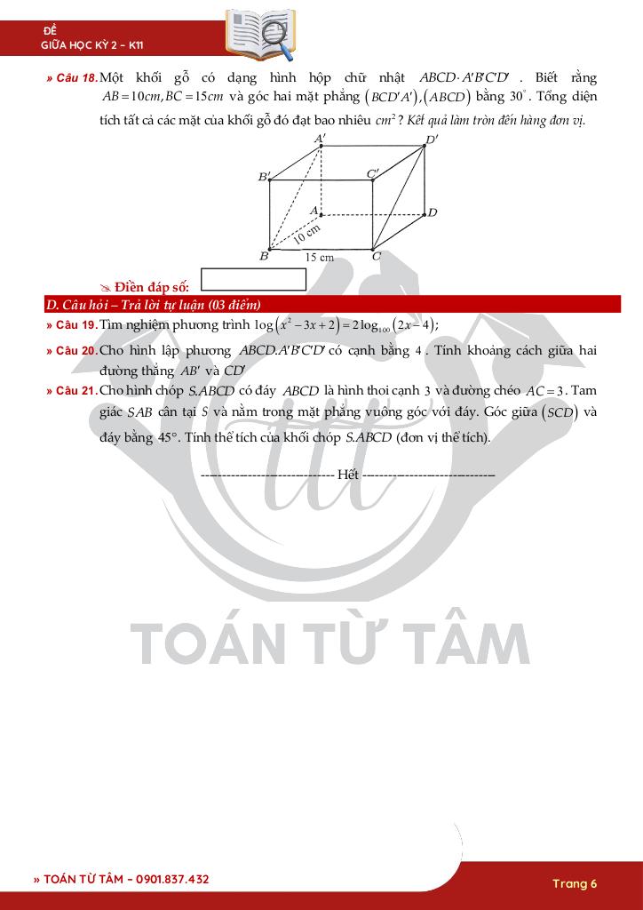 images-post/bo-de-kiem-tra-giua-ky-2-toan-11-knttvcs-nam-hoc-2024-2025-07.jpg