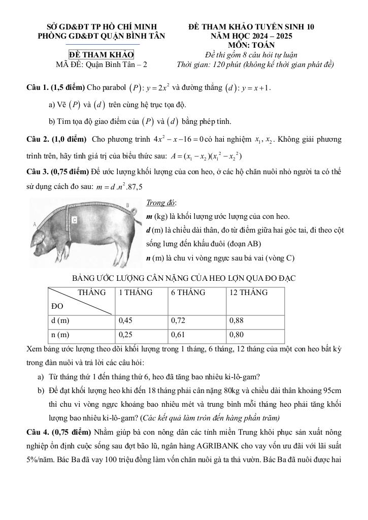 images-post/de-tham-khao-tuyen-sinh-10-mon-toan-2024-2025-phong-gd-dt-binh-tan-tp-hcm-08.jpg