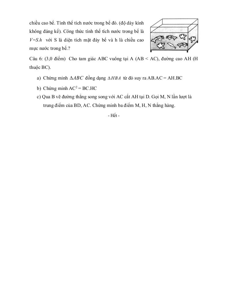 images-post/de-thi-hk2-toan-8-nam-2019-2020-truong-thcs-tan-tao-a-tp-hcm-2.jpg