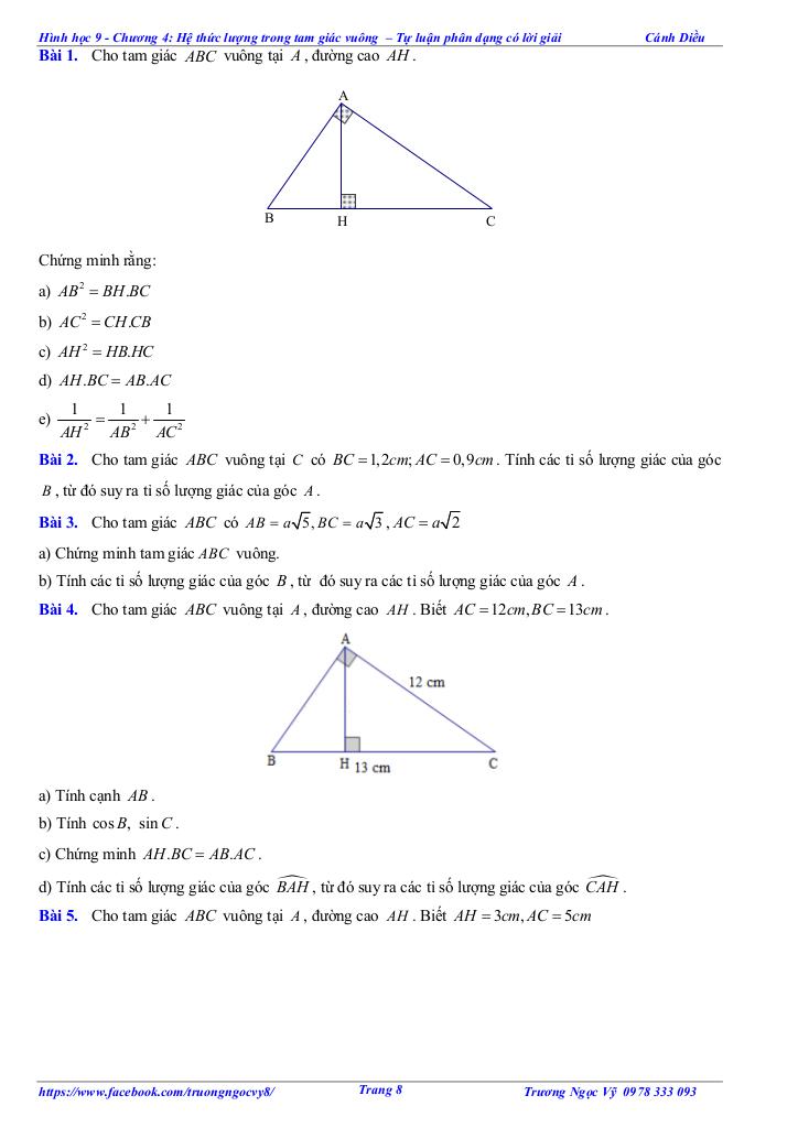 images-post/tu-luan-va-trac-nghiem-he-thuc-luong-trong-tam-giac-vuong-toan-9-canh-dieu-008.jpg