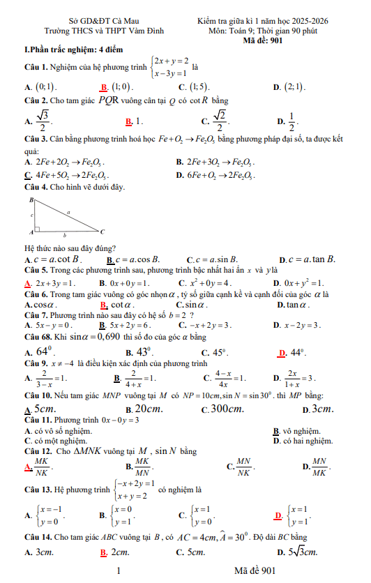 đề giữa kì 1 toán 9 năm 2025 – 2026 trường thcs&thpt vàm đình – cà mau