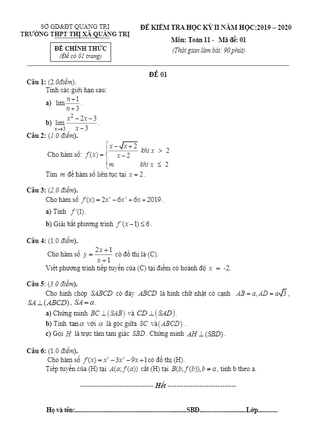 đề thi học kỳ 2 toán 11 năm học 2019 – 2020 trường thpt thị xã quảng trị