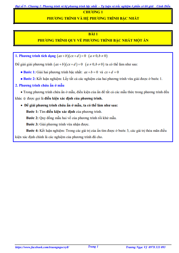 tự luận và trắc nghiệm phương trình và hệ phương trình bậc nhất toán 9 cánh diều